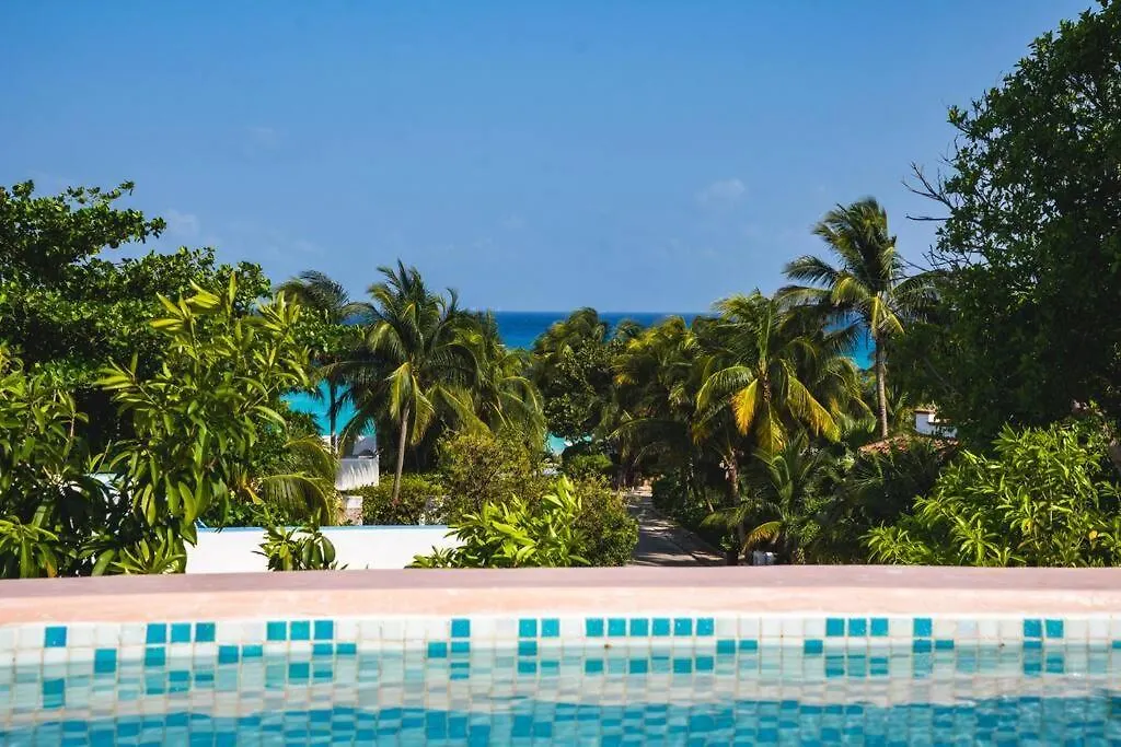 Apartment Lujoso Apartamento Playacar F1 A Metros Del Mar Playa del Carmen Mexiko